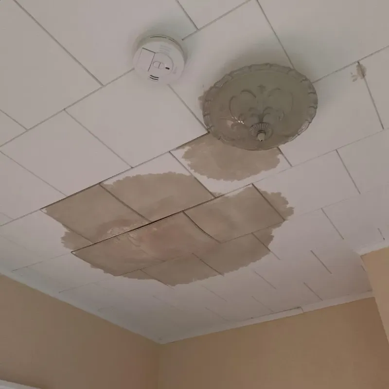 Ceiling Water Damage Repair in Lake Bluff, IL