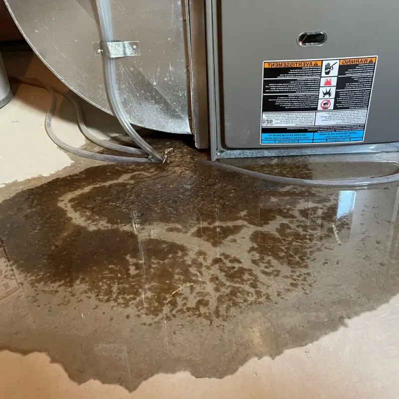 Pipe Burst and Leak Restoration in Lake Bluff, IL